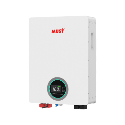 Batería de Litio Ferrofosfato LiFePO4 100Ah 51.2V / Tecnología LFP Cobalto Free/ ≥6000 Ciclos Vida Útil / BMS Inteligente Integrado / Comunicación CAN-RS485-WiFi / 5 Años Garantía