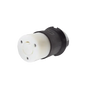 Conector Industrial con Bloqueo de Media Vuelta / 20 A 125 V CA / 2 Polos 3 Hilos / Nema L5-20R / Color Blanco y Negro.