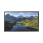 Pantalla Profesional LED 55\" para Exterior con Vidrio Templado de Protección 5T, Full HD (1080p), HDMI/HDBaseT (LAN), Brillo 3500 cd/m2. Compatible VESA
