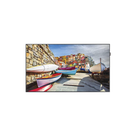 Pantalla Profesional LED de 43\", Resolución 1920x1080p, Entradas de Video HDMI / DVI-I / Display Port. Con Bocinas Intergradas de 10 W. Compatible VESA