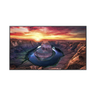 Pantalla Profesional LED de 65\", UHD 4K (3840x2160p), Entradas de Video HDMI/DisplayPort, Bocinas Integradas de 10 W. Compatible VESA. Modo de Simulación DICOM