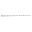 Mástil Recto Iluminado / Aluminio Anodizado / 4.5 m (14.8 ft) / LED Integrado / Velocidad 2.5 s / IP65 / -40°C a +75°C