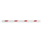 Brazo telescópico de aluminio / Hasta 4 m (13.1 ft) / Sección exterior 86×44 mm / Compatible con barreras PB4030L/R