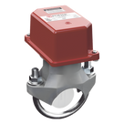 Detector de Flujo de Agua / 4 Pulgadas / Tipo Paleta / Retardo Neumático Ajustable / 10 GPM / 0.33 ft (4 in)