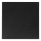 Módulo Placa Ciega / Color Grafito RAL 7021 / 45 x 45 x 8.5 mm / IP20 / 1 Elemento